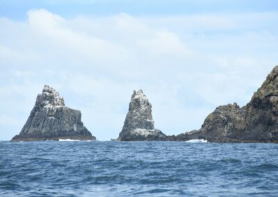 a group of rocks in the middle of a body of water