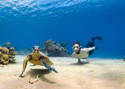 a sea turtle and person swimming next to each other